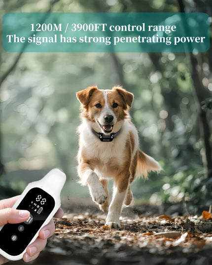 800m Digital Dog Training Collar Waterproof Rechargeable Remote Control Pet with LCD Display for All Size Shock Vibration Sound