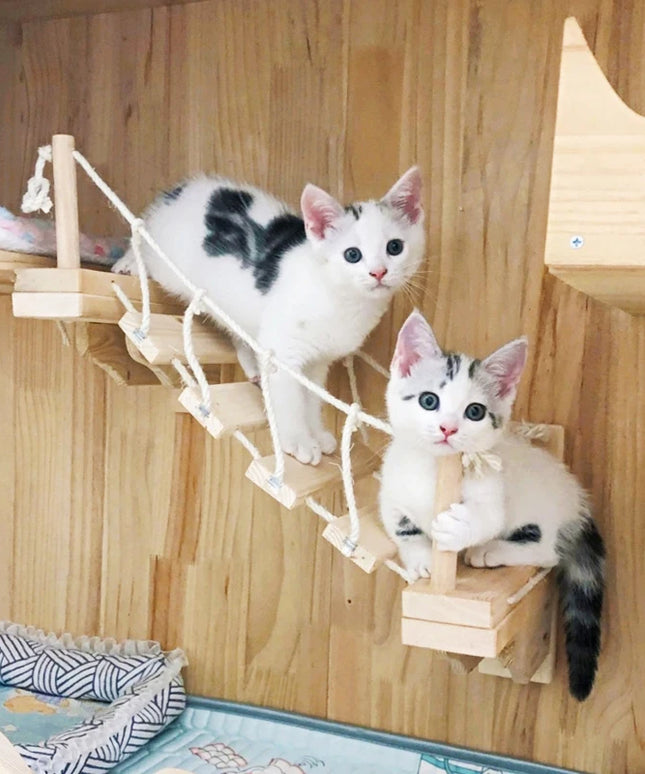壁掛け式キャットクライミングブリッジ キャットハンモック サイザル麻ラダー 子猫の遊びと休憩用 木製キャットブリッジ 睡眠 遊び 登り