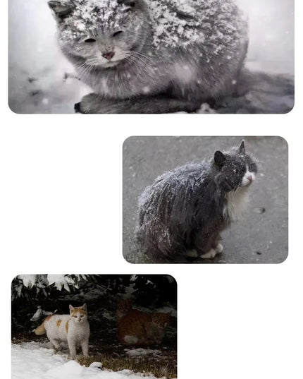 キャットハウス 防水 屋外 冬 暖かい ペット洞窟 睡眠ベッド テント 折りたたみ式 小型犬 子犬用品 ユニバーサル 四季対応