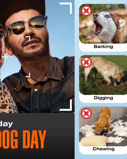 800m Digital Dog Training Collar Waterproof Rechargeable Remote Control Pet with LCD Display for All Size Shock Vibration Sound